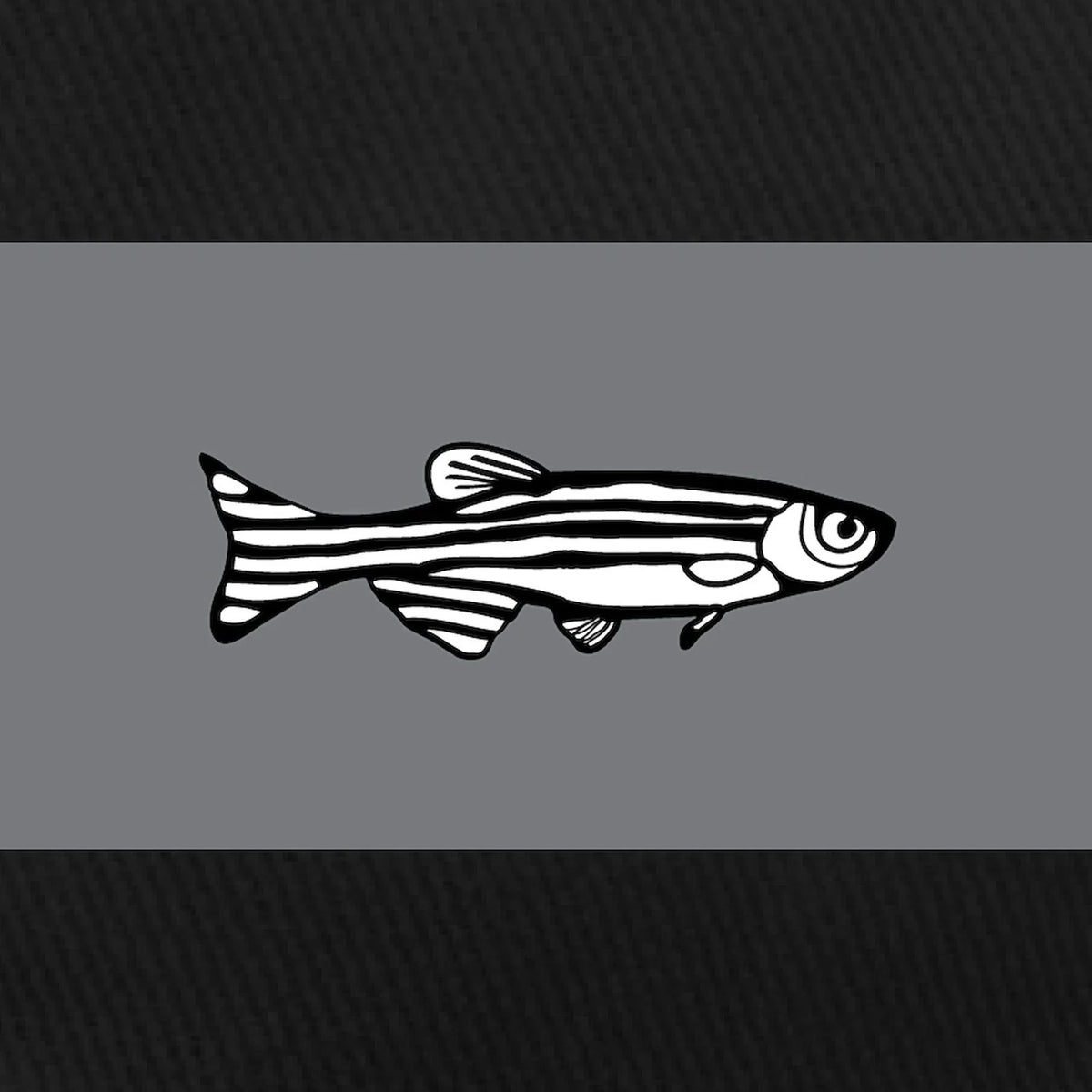 CafePress - Zebrafish Black Cap - Printed Adjustable Cotton Canvas Black Baseball Hat