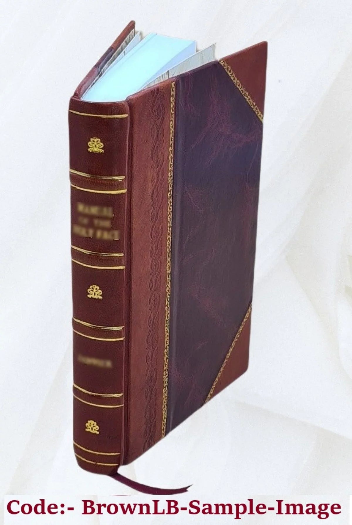 Memorie autografe d'un ribelle, ovvero Prolegomeni del fuoruscito. 1873 [Leather Bound]